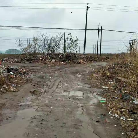 对大同村积存垃圾问题的通报