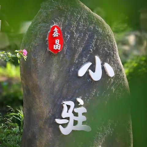 鑫晶小驻