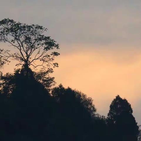 秋天，走进艾农宝