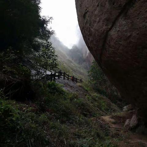 房镇镇中心小学四一中队“读万卷书，行万里路”研学旅行社会实践活动