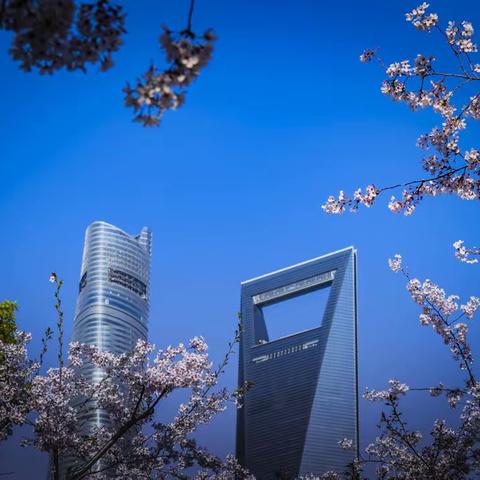 上海的春天——世纪大道随拍