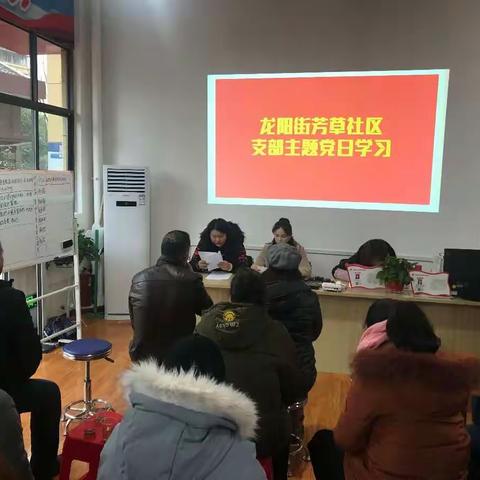 龙阳街芳草社区支部主题党日学习活动