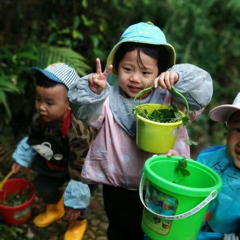 “拥抱春天，呵护绿色” 植树节活动广州市番禺区鸣翠苑实验幼儿园