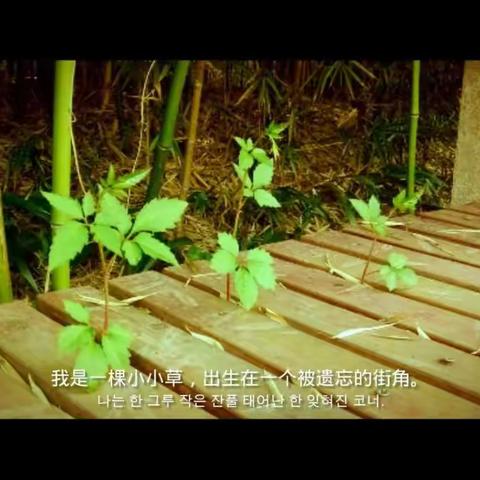 也学苔花奋力开——双沟酒业讲解员机制自发工作侧记