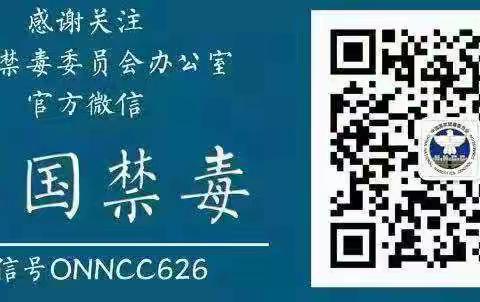 枫木镇关注“中国禁毒”微信公众号人数统计