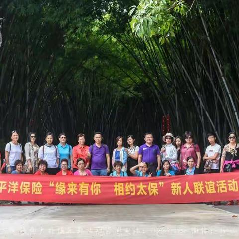 2018年11月8日太平洋保险公司定制活动