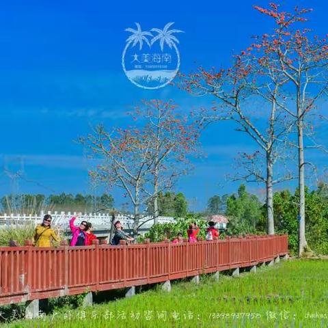 山海黎乡赏木棉，昌化江中泛龙坊（一）