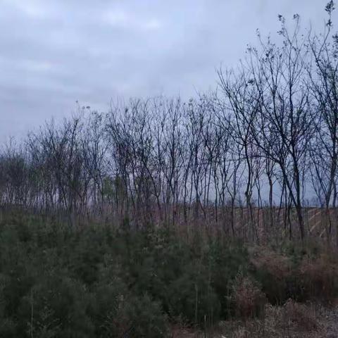 湖滨区金融办领导对贫困户进行贷前走访