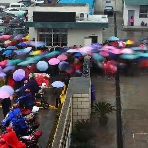 钱营学校小学部走读学生雨天放学应急预案