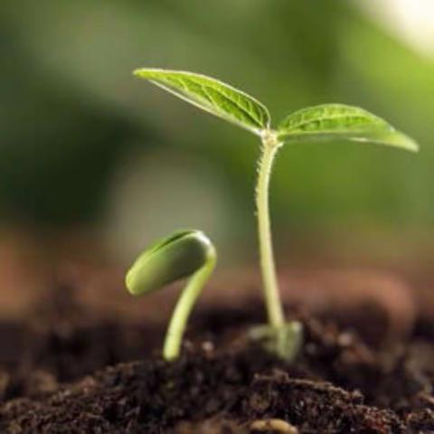 璞道书院—小蜗牛正面管教家长课堂招生啦