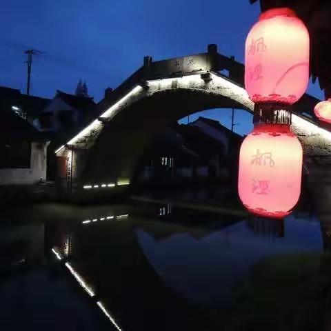 有个幽灵在枫泾