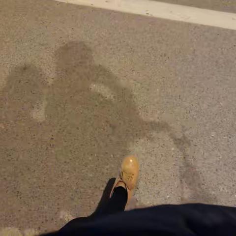一路欢笑（一）          美好时光