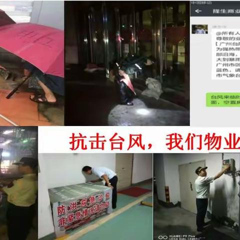 2017年广场、岭南工作汇报