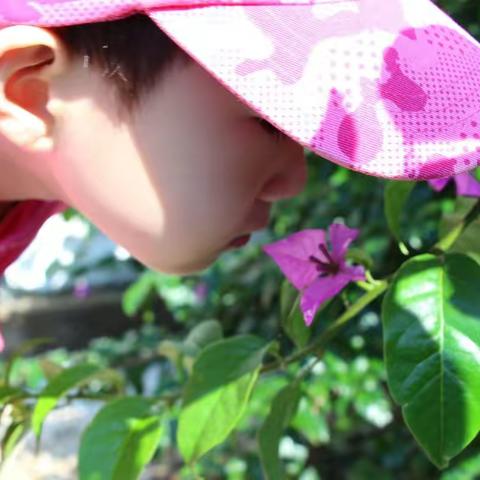 醉美普者黑（上）