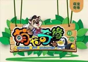 萌宠奇缘+燃卡蹦床研学二日营