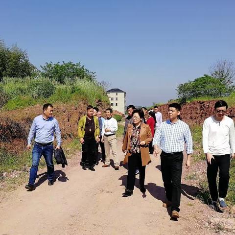 【“三服务”走基层】多部门齐服务    助力乡村振兴    为基层把脉出方    为基层摘"帽"创"星"