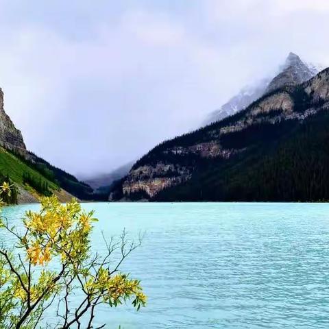 2017 加拿大落基山脉自驾游