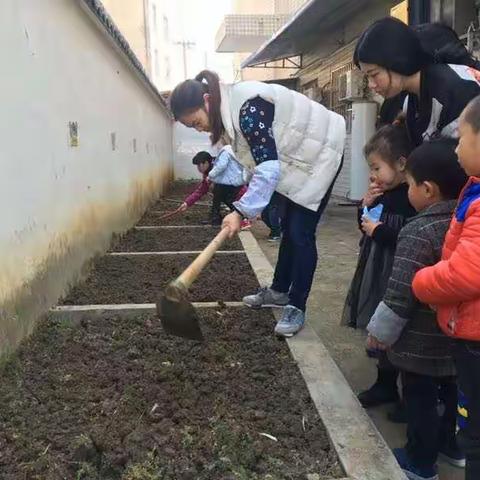 【干好每一天】“拥抱春天，播种希望”——明溪县第二实验小学附属幼儿园开展亲子种植活动