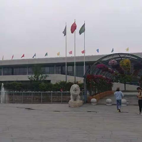 上海辰山植物园－热带兰篇