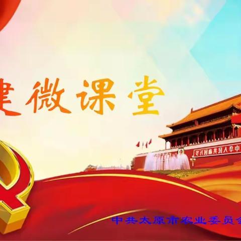 第四期：佩戴党员徽章的正确方法与场合