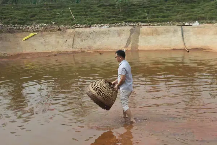 零陵农校图片