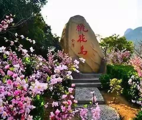 桃花岛觅侠记——入一片桃林 悟一处仙灵