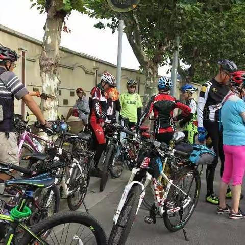 骑行川沙三甲港九段沙湿地