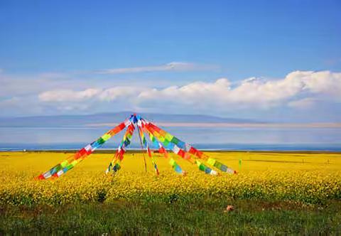 博采众长 协同共进  ——— 石龙区中鸿小学高淑艳名师工作室送课下河学校