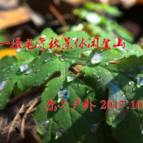 登一撮毛赏秋景休闲登山