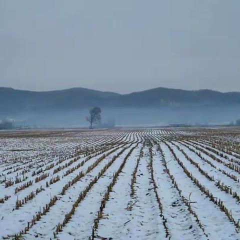 踏雪欢歌福寿山