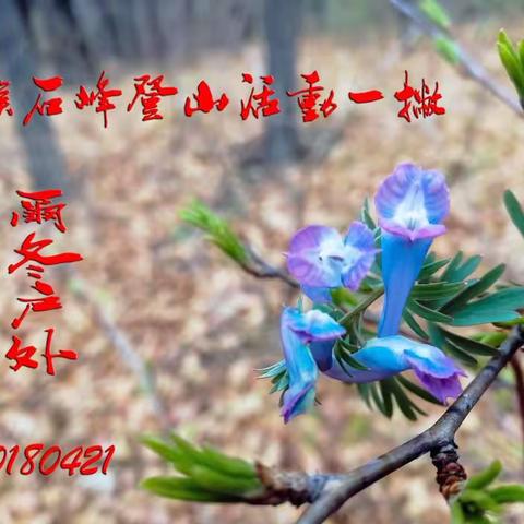 猴石峰活动一撇