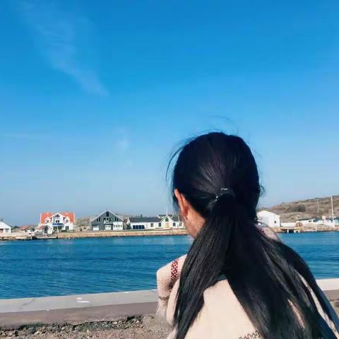 从新启航之旅——下（冰岛、爱沙尼亚、芬兰、瑞典、挪威、丹麦）