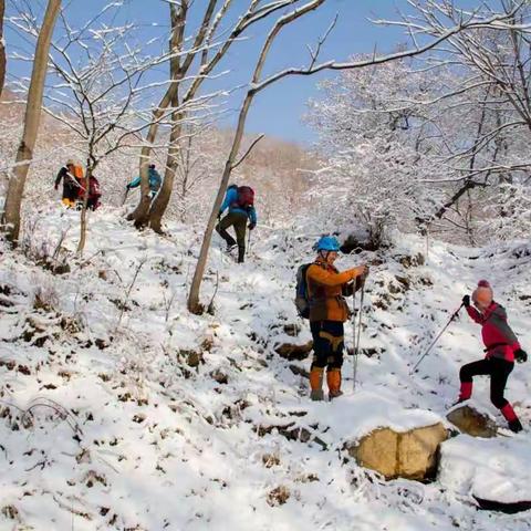 玩雪——20170205五龙山