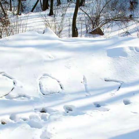 山之冰雪天地