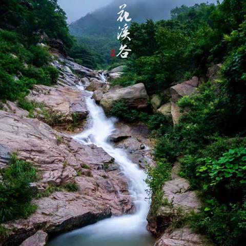 山不转水转 山涧 溪水