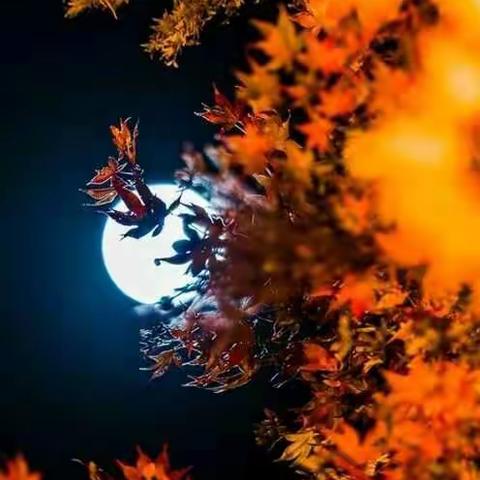 中秋创业园之我是月饼侠第二季