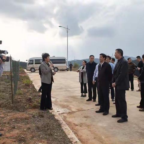 干好每一天 | 三明市长余红胜赴永安市石墨和石墨烯产业园调研