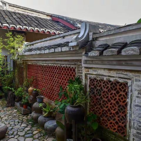 相遇龙泰摄影17期