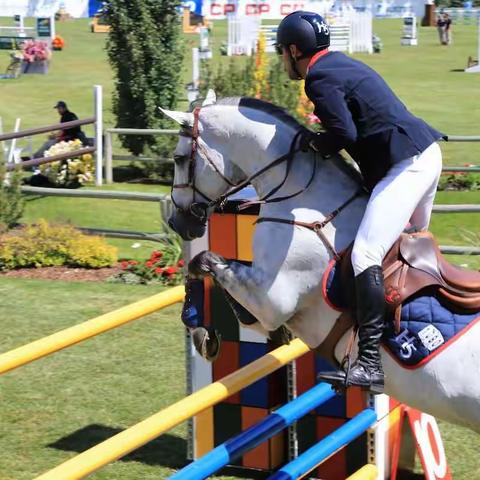 在加拿大观看马上比赛