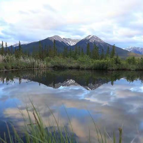 加拿大行之洛基山班芙国家公园