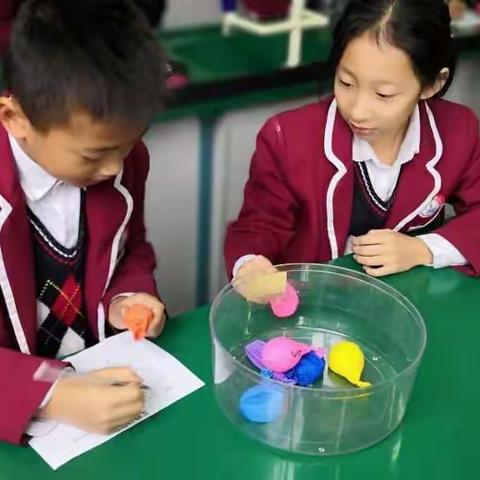 西安小学第三片区教研活动（科学组）