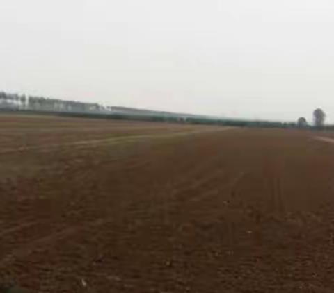 库庄镇：加强“六边”治理，消除焚烧隐患