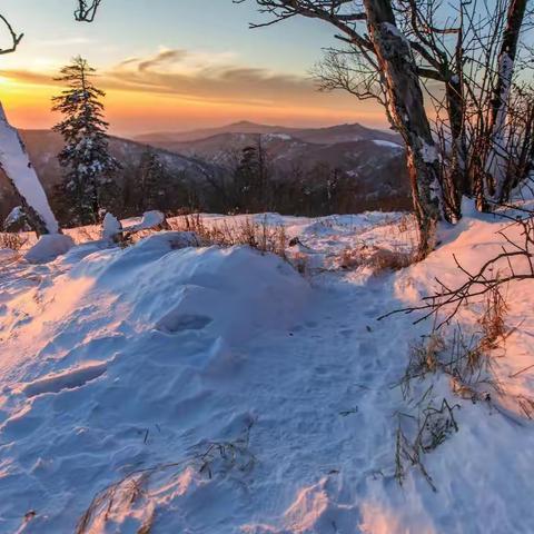 哈尔滨.雪村