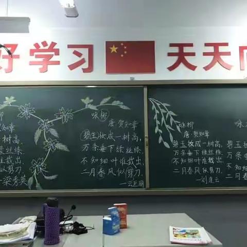 南菜园小学组织青年教师开展板书设计比赛