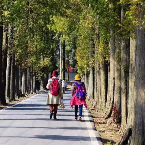 甘岭水库——大禹农家，一年四季欢迎你。