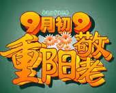 重阳节   -------老吾老以及人之老八（7）班活动纪实