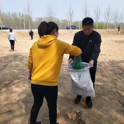 【济阳区济阳街道】党员义务活动捡垃圾，保护环境人人有责