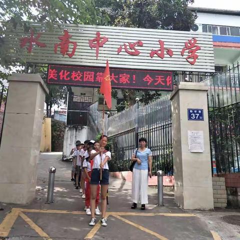 小小啄木鸟正在行动