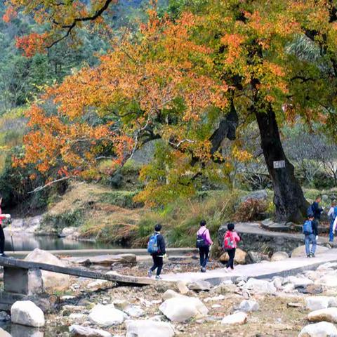 寒风大雾肆虐中穿越、登顶武顿山——冷并快乐着