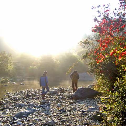 【摩旅】3月，山里露营、野餐、赏杜鹃花